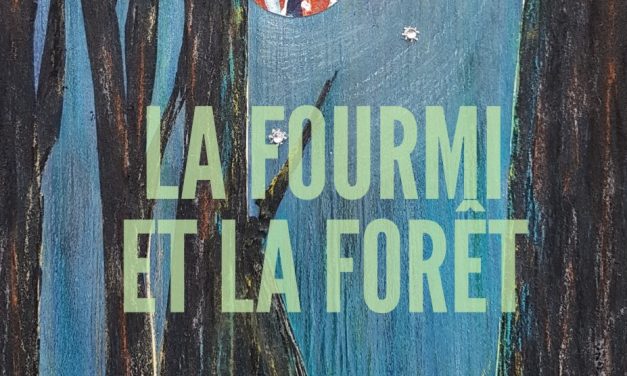 La fourmi et la forêt