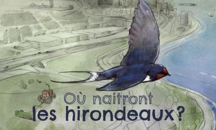 Où naitront les hirondeaux?