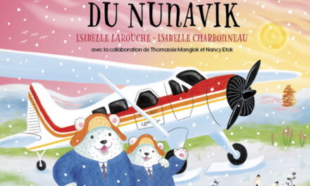 Le p’tit avion du Nunavik