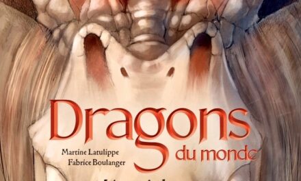 Dragons du monde: Liam et le dragon de Lucerne