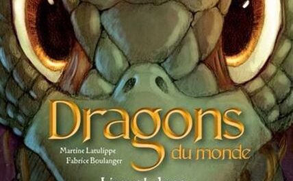 Dragons du monde: Liam et le dragon de Mordiford