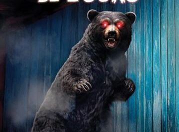 Dans les yeux de l’ours